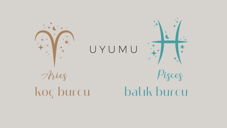 koc-burcu-ve-balik-uyumu