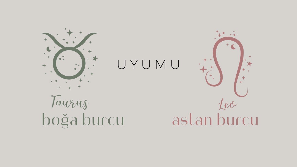 boga-burcu-ve-aslan-uyumu