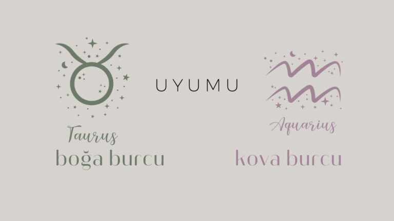 boga-burcu-ve-kova-uyumu
