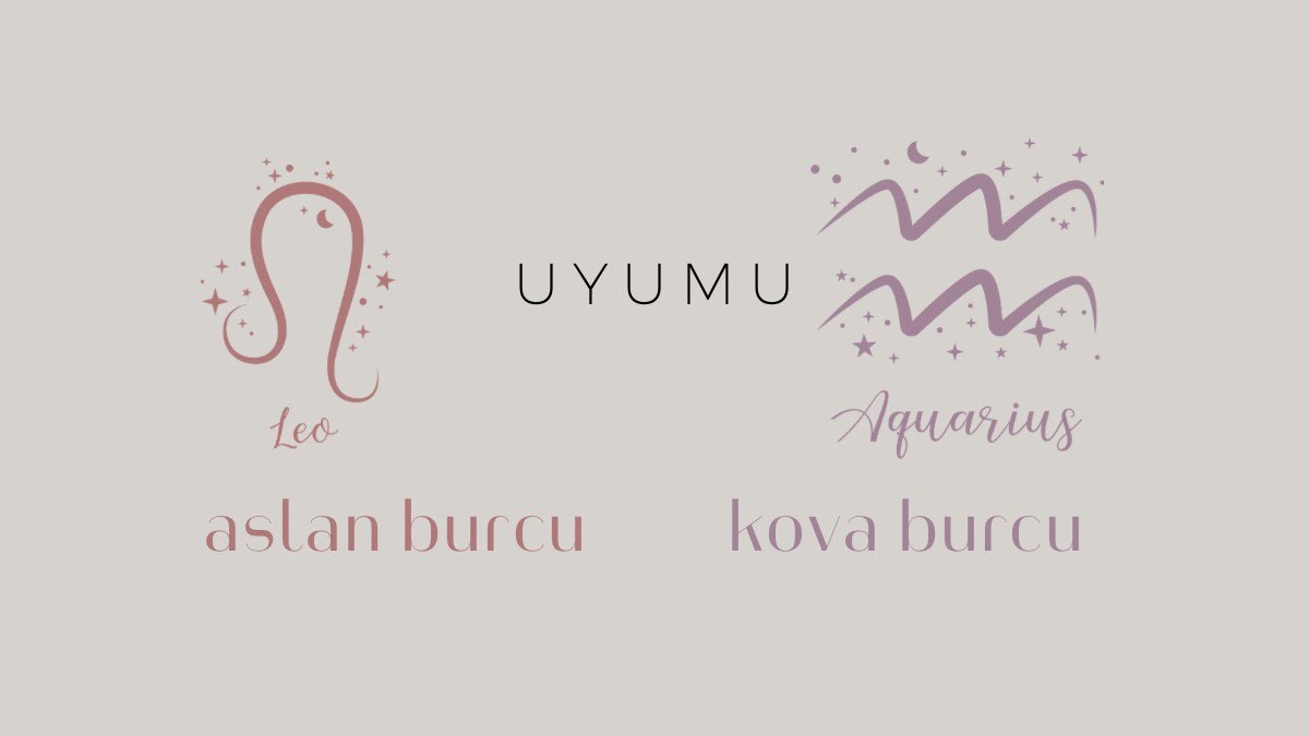 aslan-burcu-ve-kova-uyumu