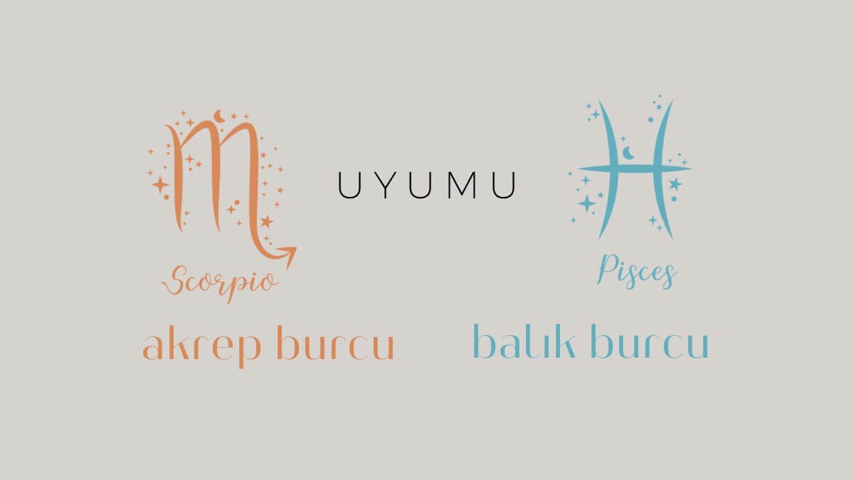 Akrep burcu ve balık uyumu