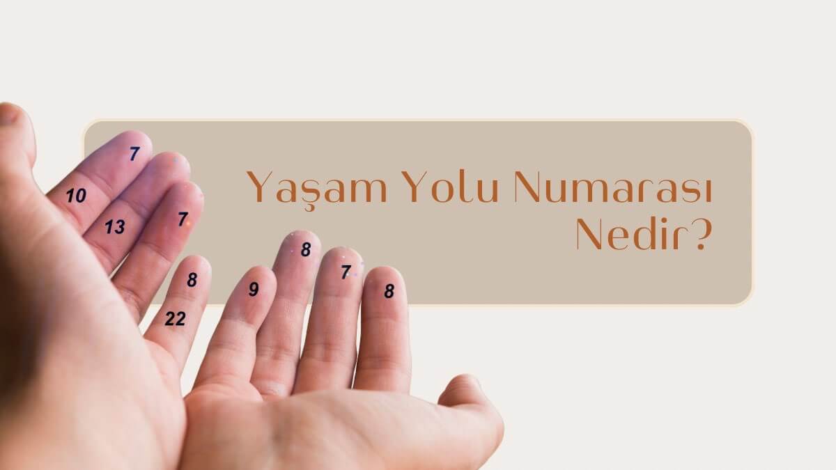 yasam-yolu-numarasi-nedir